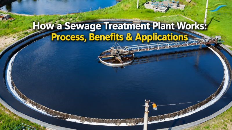 How a Sewage Treatment Plant Works: Process, Benefits & Applications
